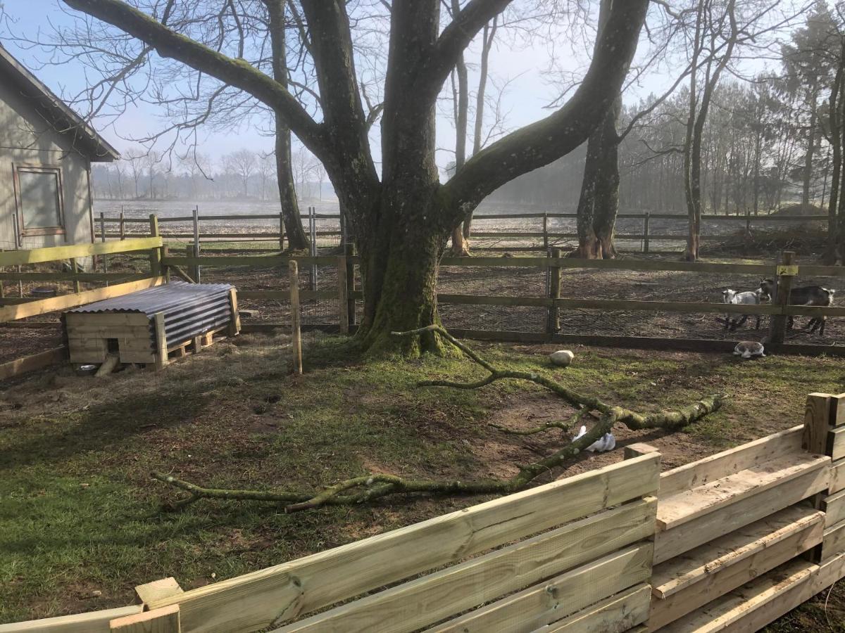 Hestkaer Family Rooms Grindsted Bagian luar foto